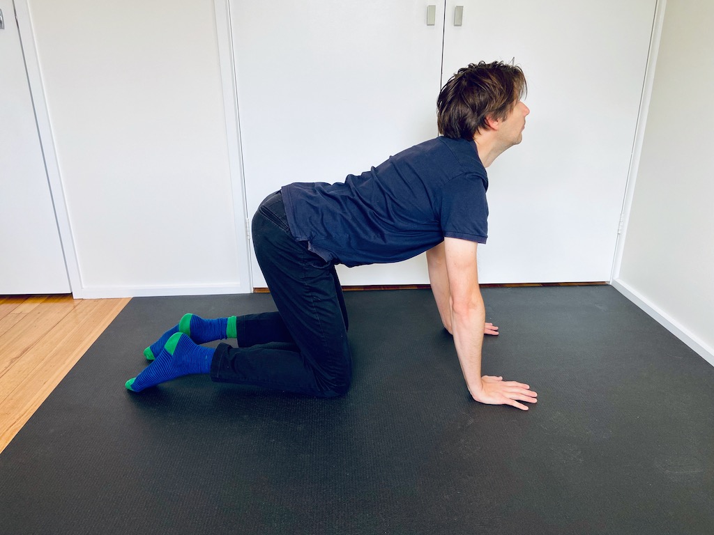 exercise for back pain